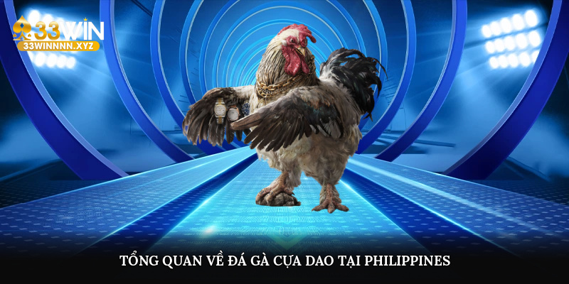 Tổng quan về đá gà cựa dao tại Philippines