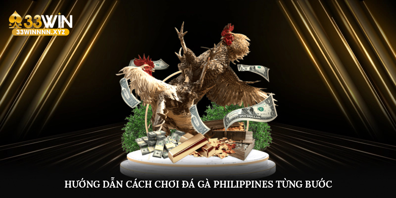 Hướng dẫn cách chơi đá gà Philippines từng bước